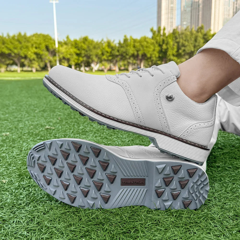 Lenox Luxury Men Golf Shoes Professional Golf Sneakers